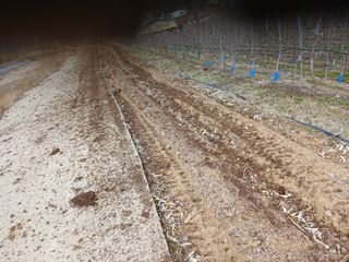 알 수 없음님의 자유주제 · 자유게시판 작성글 사진
