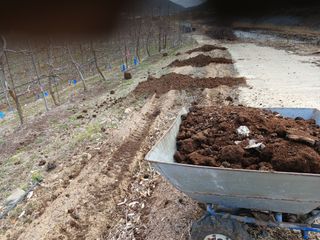 알 수 없음님의 자유주제 · 자유게시판 작성글 사진