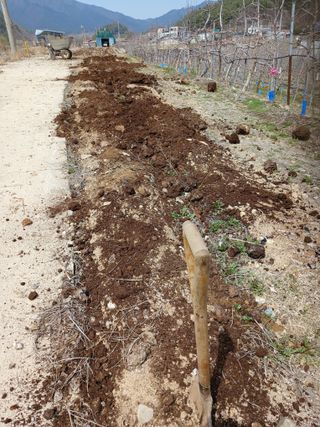 알 수 없음님의 자유주제 · 자유게시판 작성글 사진