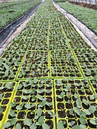 천년의사랑님의 자유주제 · 자유게시판 작성글 사진