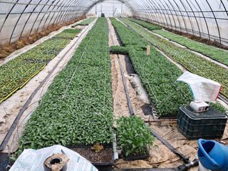 천년의사랑님의 자유주제 · 자유게시판 작성글 사진