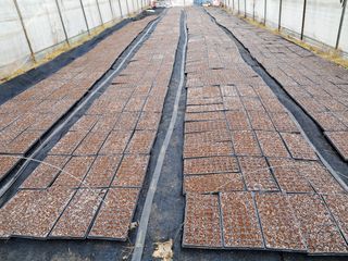 천년의사랑님의 자유주제 · 자유게시판 작성글 사진