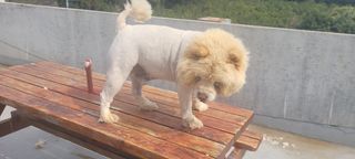 이성근님의 선도농가에 선정된 소감은? · 참여글 작성글 사진