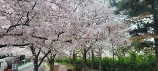 이성근님의 선도농가에 선정된 소감은? · 참여글 작성글 사진