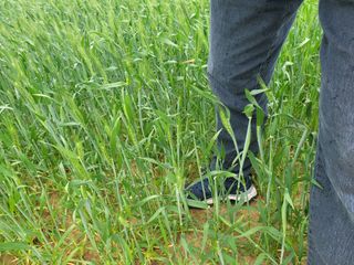 이성근님의 선도농가에 선정된 소감은? · 참여글 작성글 사진