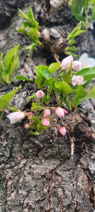 이성근님의 선도농가에 선정된 소감은? · 참여글 작성글 사진