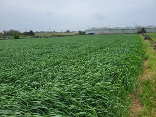 이성근님의 선도농가에 선정된 소감은? · 참여글 작성글 사진