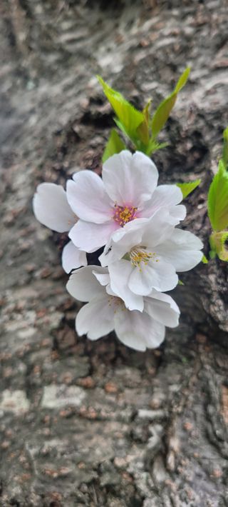 이성근님의 선도농가에 선정된 소감은? · 참여글 작성글 사진