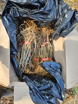 지리산호야님의 자유주제 · 자유게시판 작성글 사진