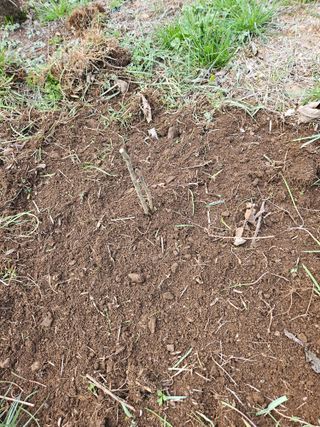 지리산호야님의 자유주제 · 자유게시판 작성글 사진