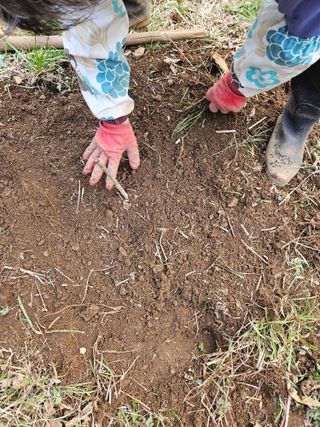 지리산호야님의 자유주제 · 자유게시판 작성글 사진
