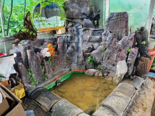 정직교님의 4월 내 작물 자랑하기 · 참여글 작성글 사진