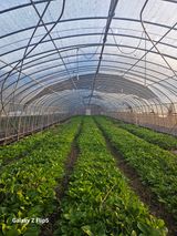 팜모닝 4월 내 작물 자랑하기·참여글 게시글 이미지