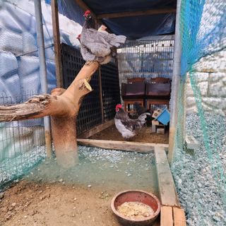 권지연.옥천.님의 자유주제 · 자유게시판 작성글 사진