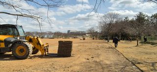 잔디농부님의 4월 내 작물 자랑하기 · 참여글 작성글 사진