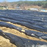 팜모닝 4월 내 작물 자랑하기·참여글 게시글 이미지