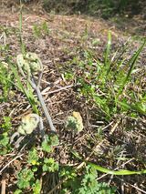 팜모닝 4월 내 작물 자랑하기·참여글 게시글 이미지