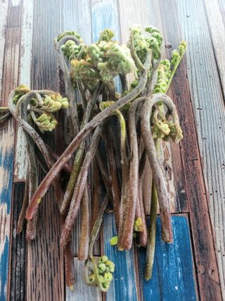 배승무님의 4월 내 작물 자랑하기 · 참여글 작성글 사진