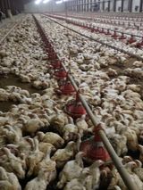 팜모닝 4월 내 작물 자랑하기·참여글 게시글 이미지