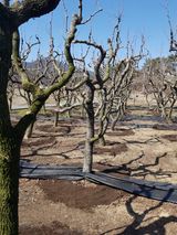 팜모닝 4월 내 작물 자랑하기·참여글 게시글 이미지