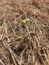 팜모닝 4월 내 작물 자랑하기·참여글 게시글 이미지