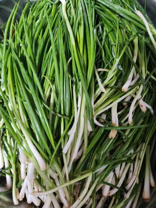 고영희님의 자유주제 · 자유게시판 작성글 사진