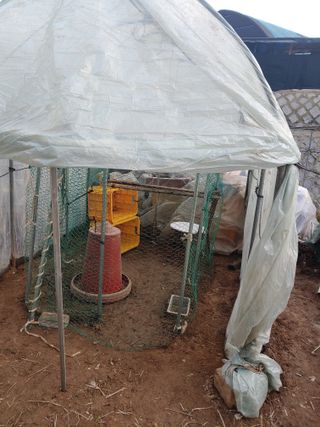 봉림동 태진농장님의 4월 내 작물 자랑하기 · 참여글 작성글 사진