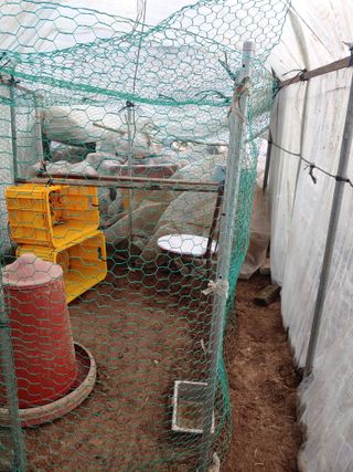 봉림동 태진농장님의 4월 내 작물 자랑하기 · 참여글 작성글 사진