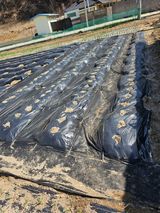 팜모닝 4월 내 작물 자랑하기·참여글 게시글 이미지