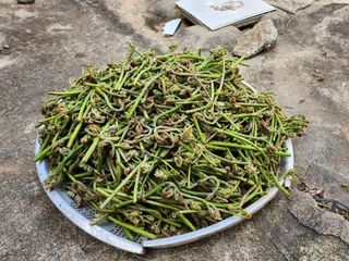 도상길님의 4월 내 작물 자랑하기 · 참여글 작성글 사진