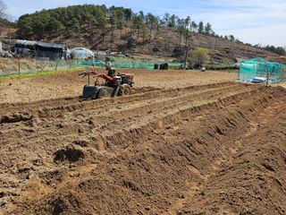 인생을사노라면님의 4월 내 작물 자랑하기 · 참여글 작성글 사진