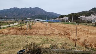 한재골님의 4월 내 작물 자랑하기 · 참여글 작성글 사진