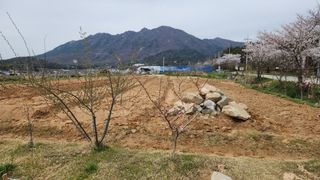 한재골님의 4월 내 작물 자랑하기 · 참여글 작성글 사진