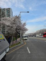 팜모닝 자유주제·자유게시판 게시글 이미지