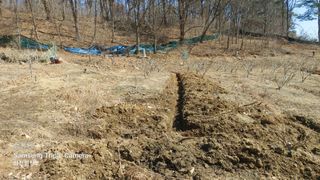 산초박님의 자유주제 · 자유게시판 작성글 사진