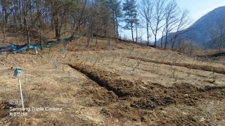 산초박님의 자유주제 · 자유게시판 작성글 사진