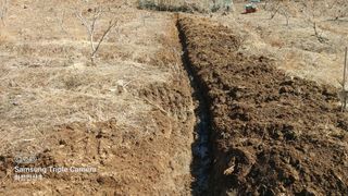 산초박님의 자유주제 · 자유게시판 작성글 사진