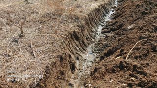 산초박님의 자유주제 · 자유게시판 작성글 사진