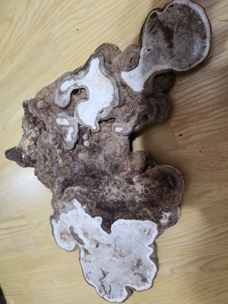 최문탁님의 농사, 무엇이든 물어보세요! · 참여글 작성글 사진