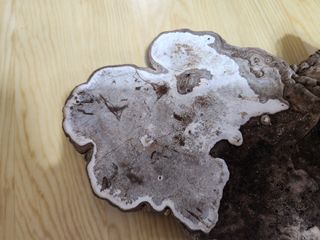 최문탁님의 농사, 무엇이든 물어보세요! · 참여글 작성글 사진