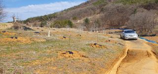 까치샘님의 기타작물 · 영농일지 작성글 사진