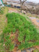 팜모닝 4월 내 작물 자랑하기·참여글 게시글 이미지