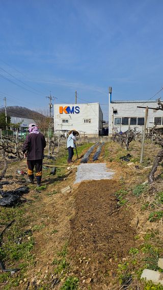 윤근순님의 자유주제 · 자유게시판 작성글 사진