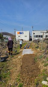 팜모닝 자유주제·자유게시판 게시글 이미지