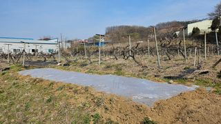 윤근순님의 자유주제 · 자유게시판 작성글 사진