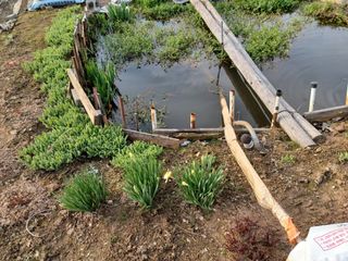 경안님의 4월 내 작물 자랑하기 · 참여글 작성글 사진