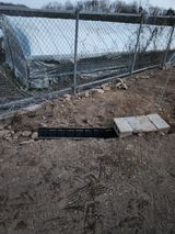 팜모닝 고추·영농일지 게시글 이미지