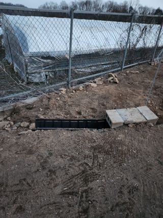 이상준님의 고추 · 영농일지 작성글 사진