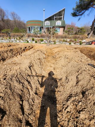 이상준님의 고추 · 영농일지 작성글 사진