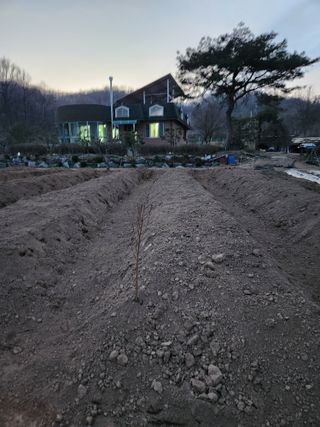 이상준님의 고추 · 영농일지 작성글 사진